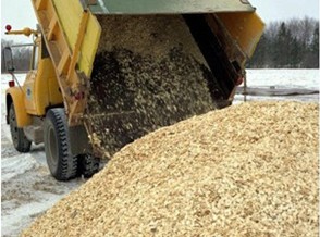 biomasse energie